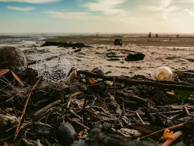 Beach Cleanup